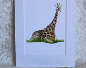 Mounted Print from original watercolour GIRAFFE