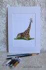 Mounted Print from original watercolour GIRAFFE