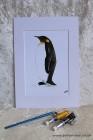 Mounted Print from original watercolour PENGUIN