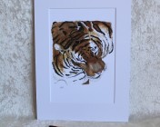 Mounted Print from original watercolour TIGER