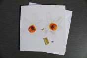 Greetings cards Notelets 5 Printed from an original watercolour DAFFODILS