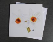 Greetings cards Notelets 5 Printed from an original watercolour DAFFODILS