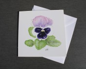 Greetings cards Notelets 5 Printed from an original watercolour PANSY