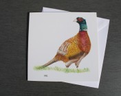 Greetings cards Notelets 5 Printed from an original watercolour PHEASANT