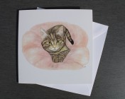 Greetings cards Notelets 5 Printed from an original watercolour TABBY KITTEN