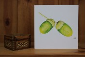 Greetings card Notelet Printed from an original watercolour ACORNS