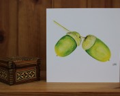 Greetings cards Notelets 5 Printed from an original watercolour ACORNS