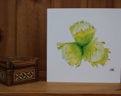 Greetings cards Notelets 5 Printed from an original watercolour COBNUTS