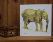 Greetings cards Notelets 5 Printed from an original watercolour ELEPHANT