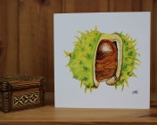 Greetings cards Notelets 5 Printed from an original watercolour HORSE CHESTNUT