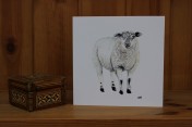 Greetings cards Notelets 5 Printed from an original watercolour SHEEP