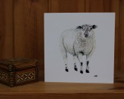 Greetings cards Notelets 5 Printed from an original watercolour SHEEP