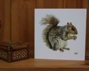 Greetings cards Notelets 5 Printed from an original watercolour SQUIRREL