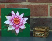 Greetings cards Notelets 5 Printed from an original watercolour WATER LILY