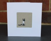 Greetings Card – Sophie Allport Siamese Cat