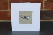 Greetings Card – Sophie Allport Tabby Cat
