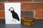 Greetings cards Notelets 5 Printed from an original watercolour PUFFIN