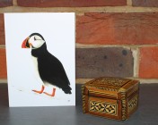 Greetings cards Notelets 5 Printed from an original watercolour PUFFIN